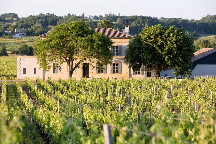 Excursion d'une demi-journée à Saint-Émilion avec dégustation de vin au départ de Bordeaux — photo 2
