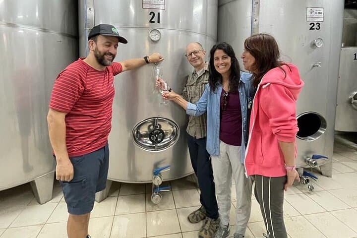 Küstenweingut Camino Trail Wanderung von San Sebastián — Foto 5