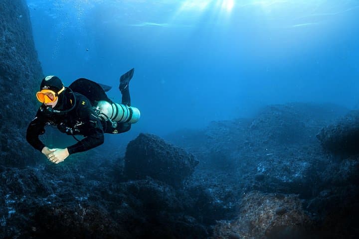 Excursión de un día completo de snorkel y buceo guiado en el Parque Nacional de Calanques desde Marsella — foto 3
