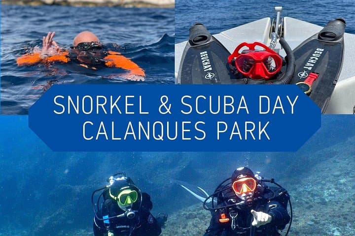 Excursión de un día completo de snorkel y buceo guiado en el Parque Nacional de Calanques desde Marsella