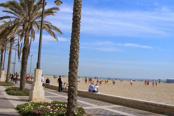 Tour Privado en Bicicleta de 3 Horas en Valencia — foto 5