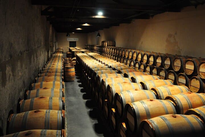 Wein-Tagesausflug in die Médoc-Region mit Weinbergbesuchen und Verkostungen ab Bordeaux — Foto 1