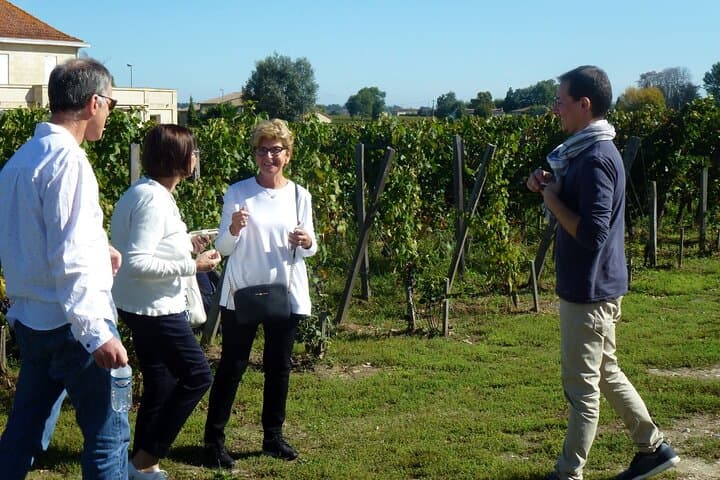 Wein-Tagesausflug in die Médoc-Region mit Weinbergbesuchen und Verkostungen ab Bordeaux — Foto 4