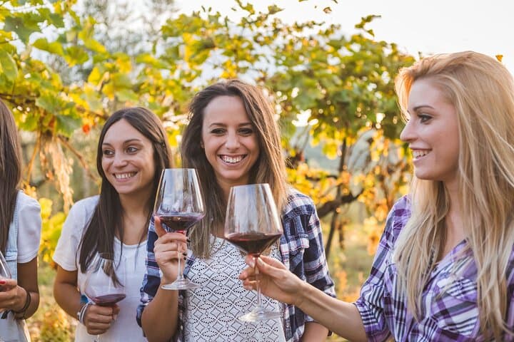 Tour di Degustazione Vini Barolo & Langhe da Torino — foto 2
