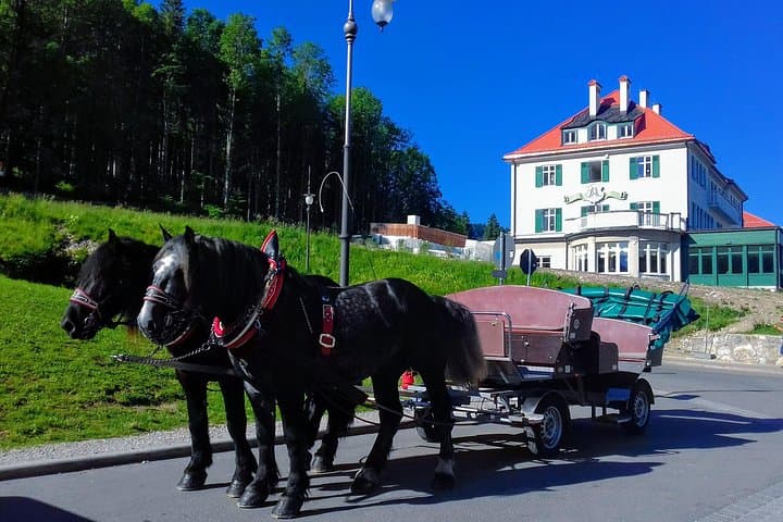Visite des 3 Châteaux Royaux : Neuschwanstein, Linderhof, Hohenschwangau — photo 5