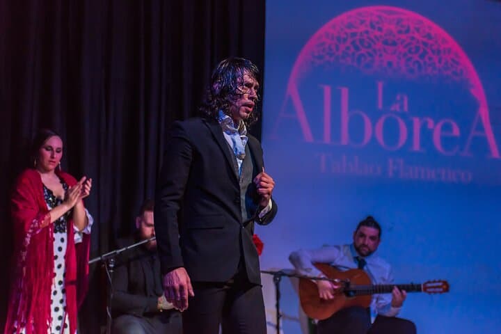 Flamenco en el Centro de Granada — foto 5