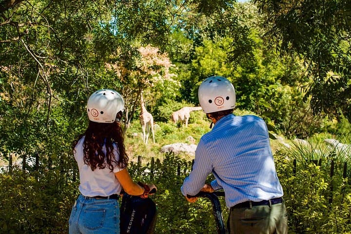 Segway-Tour von ComhiC - Parc de la Tête d'Or - 2h — Foto 4