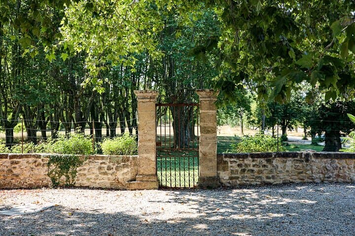 Expérience Privée de Vin en Provence - Trois Domaines Viticoles Exceptionnels — photo 3