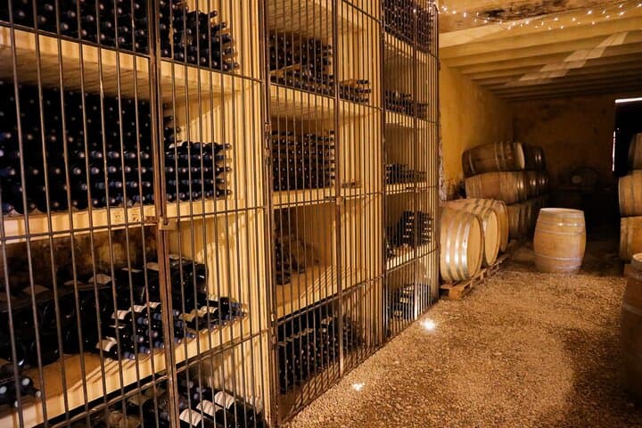 Expérience Privée de Vin en Provence - Trois Domaines Viticoles Exceptionnels — photo 4