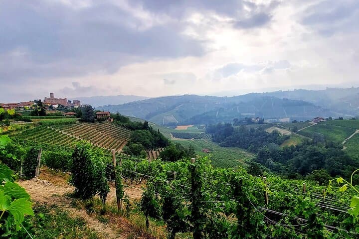 Tour di Degustazione Vini Barolo & Langhe da Torino — foto 3