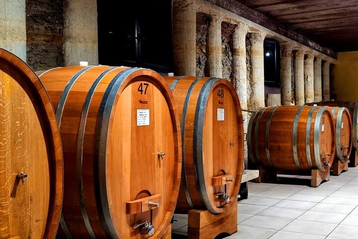 Tour di Degustazione Vini Barolo & Langhe da Torino — foto 5