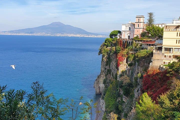 Transfert privé de Naples à Sorrente avec visite de Pompéi