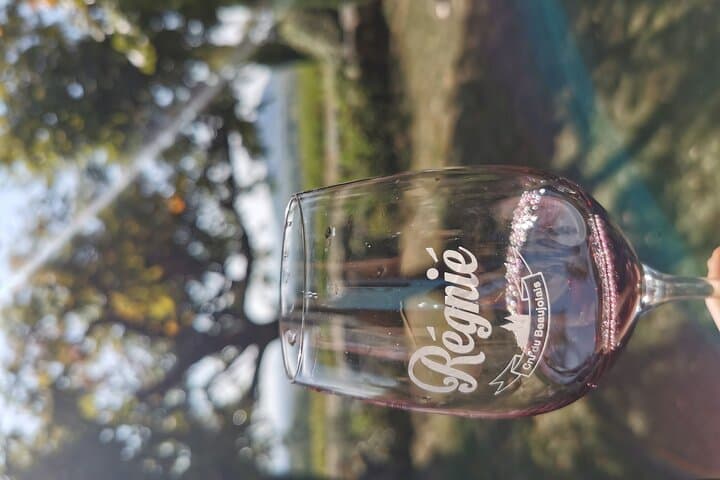 Beaujolais-Weintour von Lyon Halbtags — Foto 4