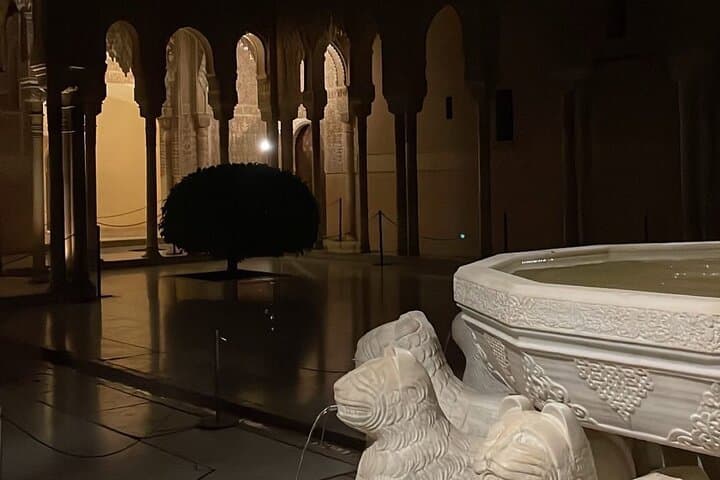 Tour nocturno de la Alhambra y los Palacios Nazaríes — foto 3