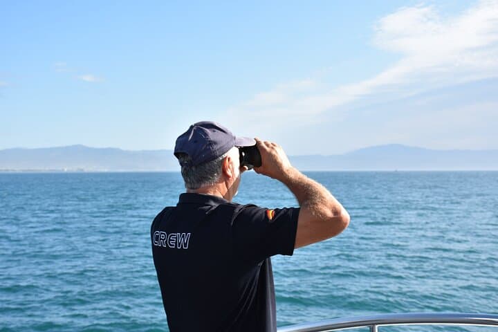 Excursion en bateau pour observer les dauphins depuis Benalmadena — photo 4