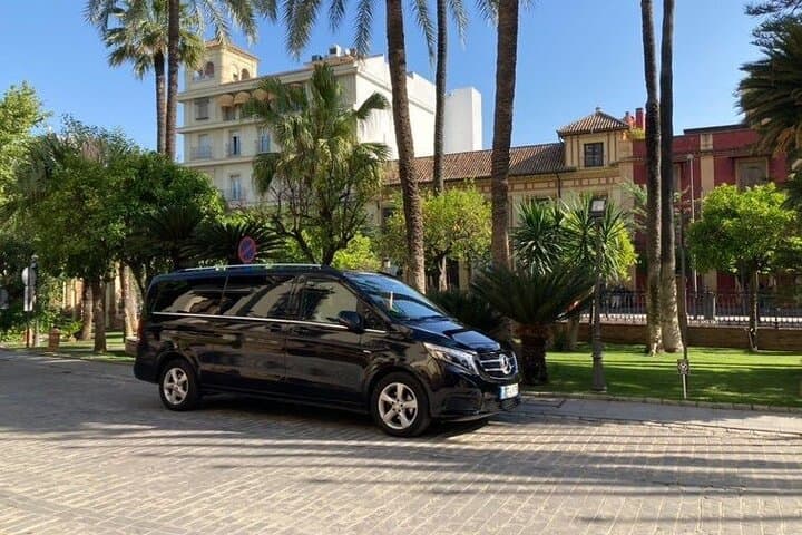 Privater Transport von Granada Stadt zum Flughafen Malaga