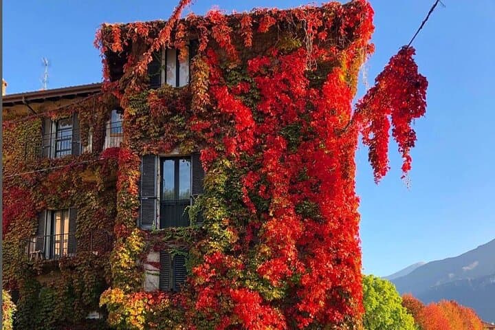 Excursion d'une journée au lac de Côme et à Bellagio avec croisière en bateau depuis Milan — photo 4