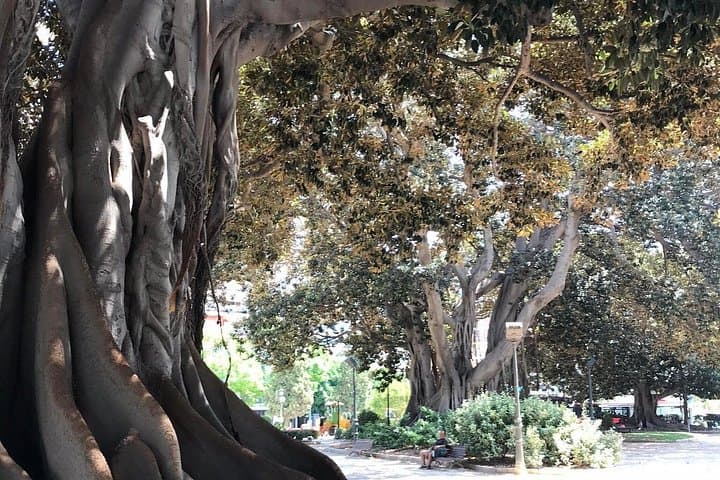 Tour de Tres Parques | Valencia — foto 5