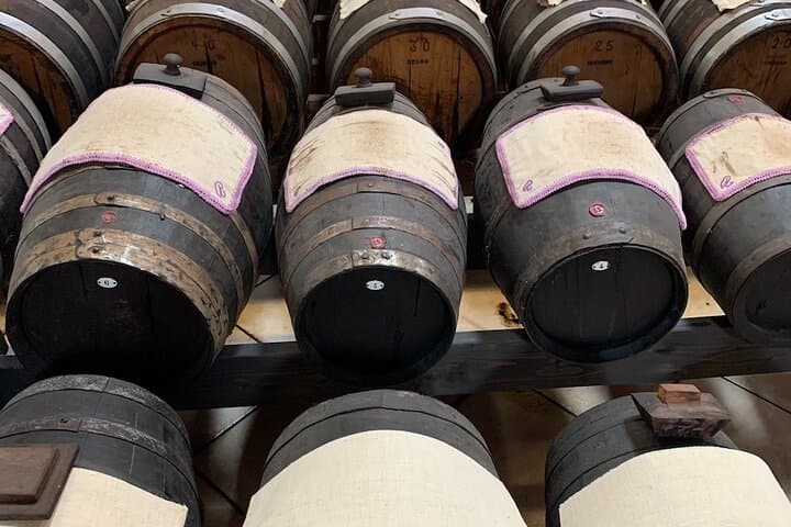 Day Tour Parmigiano, Ferrari Museum, Balsamic, Lambrusco, Lunch with Transfer — photo 5