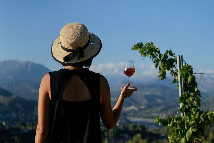 Weinberg Tour mit Weinprobe in Nizza