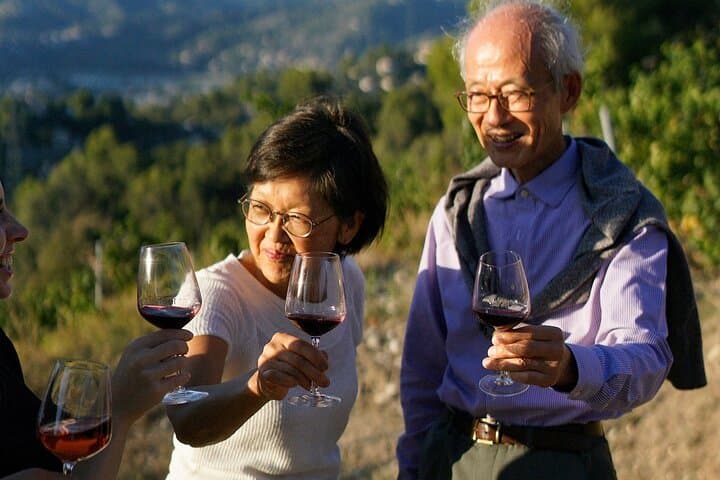 Weinberg Tour mit Weinprobe in Nizza — Foto 5