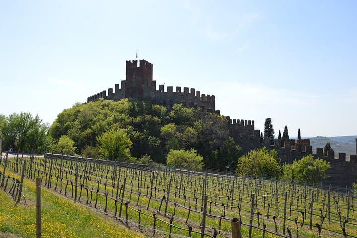 Pagus Wine Tours® - Soave und Amarone - Halbtägige Weintour