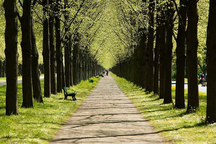 Trasferimento Privato da Amburgo a Hannover — foto 4