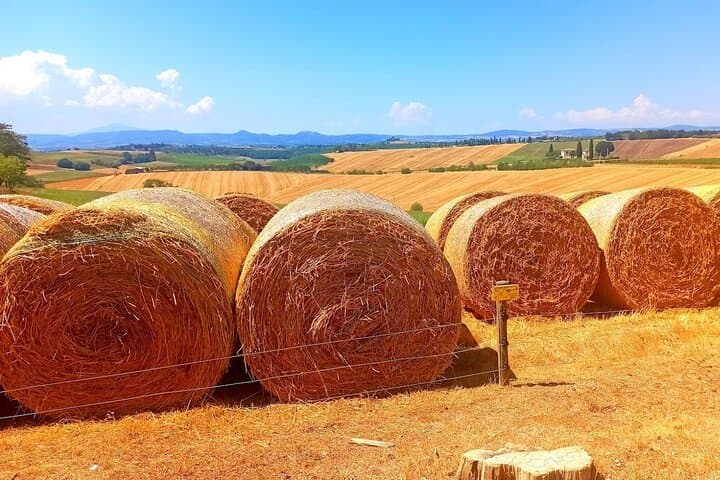 Visite Privée du Chianti et de San Gimignano avec Déjeuner et Dégustations — photo 3