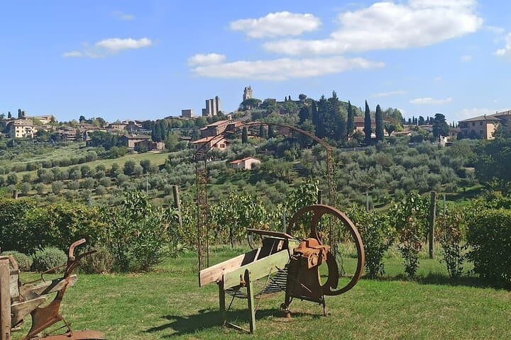 Visite Privée du Chianti et de San Gimignano avec Déjeuner et Dégustations — photo 2