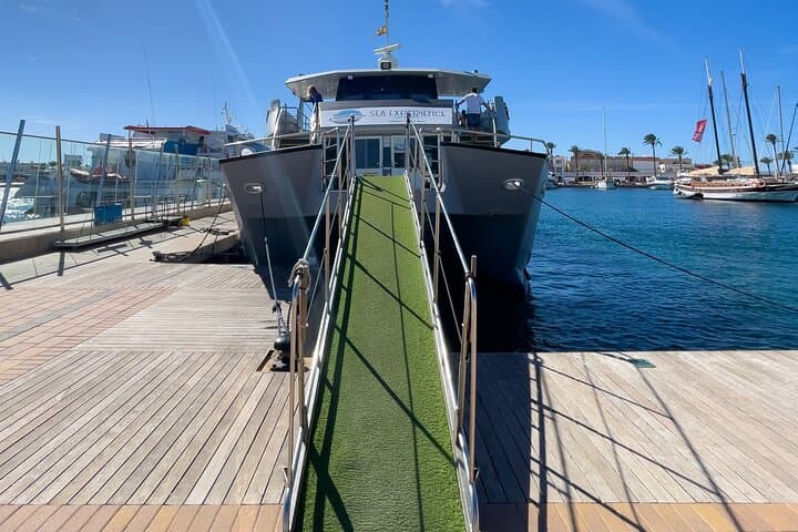 IBIZA-FORMENTERA MEERERLEBNIS, ab Figueretas — Foto 4