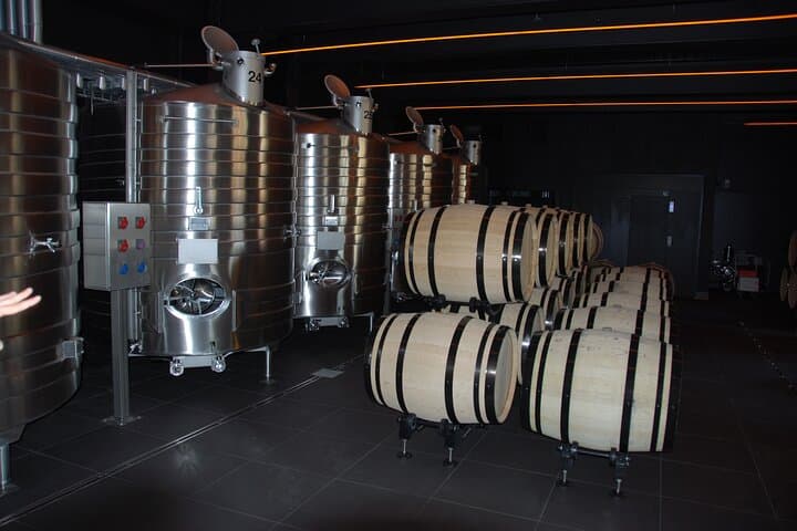 Private geführte Tour in der Champagne von Paris mit Besuch bei Moet&Chandon — Foto 5