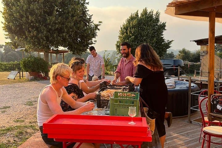 Weintour durch die Toskana in Pisa mit dem Van — Foto 5