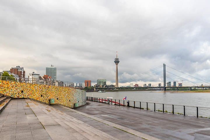 Esplorazione dell'Arte e della Cultura di Dusseldorf con un Locale — foto 5