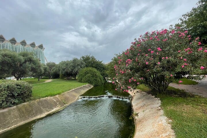Tour in Bici a Valencia: Attrazioni Principali e Città delle Arti e delle Scienze — foto 5