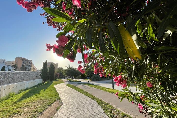 Tour in Bici a Valencia: Attrazioni Principali e Città delle Arti e delle Scienze — foto 4