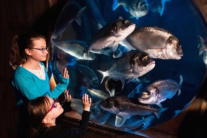Billet d'entrée SEA LIFE Speyer — photo 1