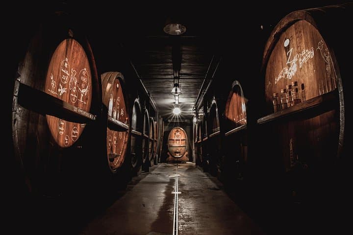 Kellerführung und Verkostung in Alsace — Foto 4