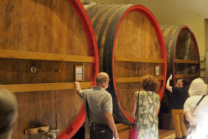 Escursione Guidata di Un Giorno Intero con Vino e Pranzo nella Valpolicella da Lago di Garda — foto 5