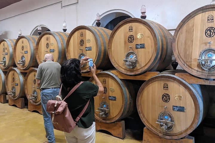 Escursione Guidata di Un Giorno Intero con Vino e Pranzo nella Valpolicella da Lago di Garda — foto 2