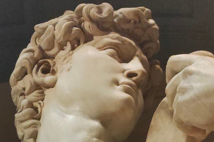 Tour Guidato del David di Michelangelo a Firenze — foto 5