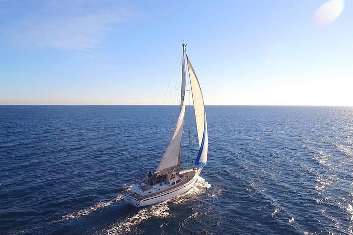 Excursion en Voilier Privé de 7 Heures aux Plages de Formentera — photo 4