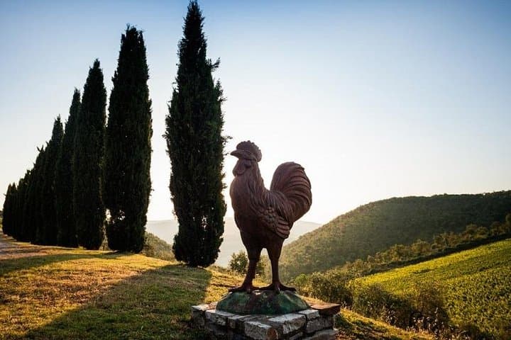 Halbtägige Weinverkostung in Chianti und San Gimignano ab Florenz — Foto 2