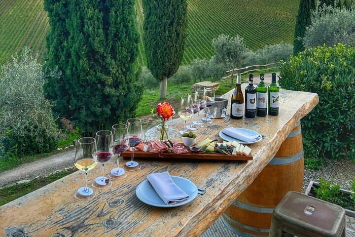 Halbtägige Weinverkostung in Chianti und San Gimignano ab Florenz