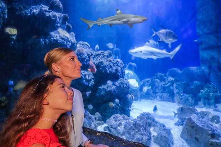 Biglietto d'ingresso per SEA LIFE Monaco