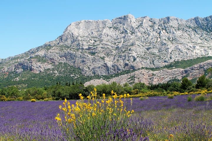 Ganztägige Wein- und Käsetour rund um Aix-en-Provence ab Marseille — Foto 4