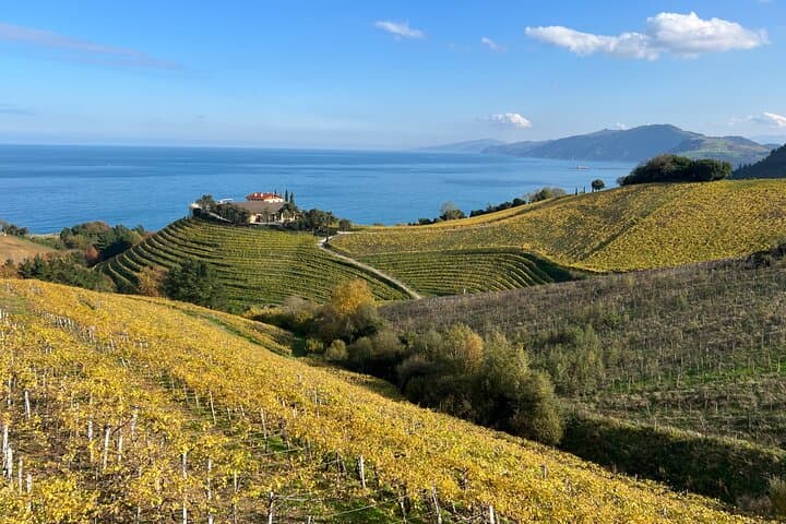 Küstenweingut Camino Trail Wanderung von San Sebastián — Foto 2