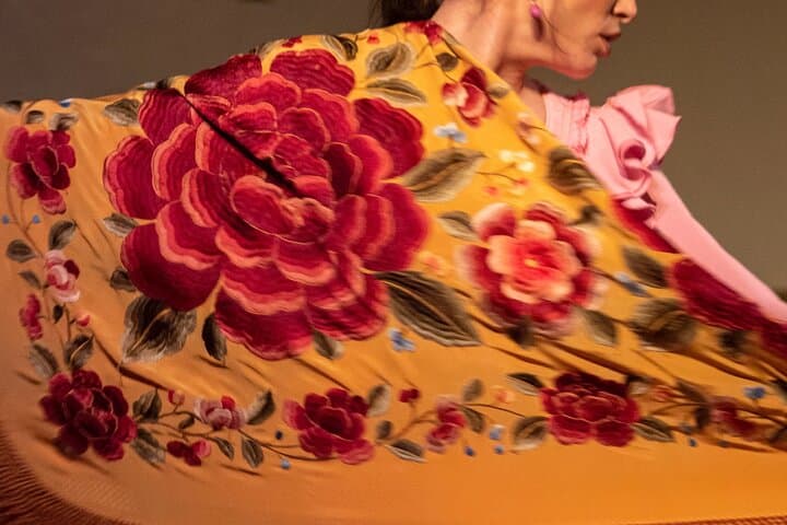 Spectacle de Flamenco au Tablao de la Villa Madrid — photo 4