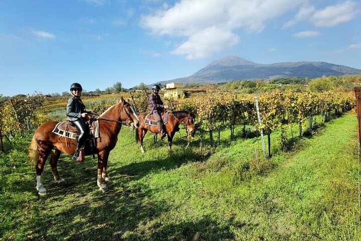 Passeggiata a Cavallo sul Vesuvio
