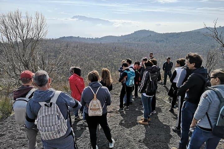 Tour del Monte Vesuvio in autobus con biglietto incluso da Ercolano — foto 3