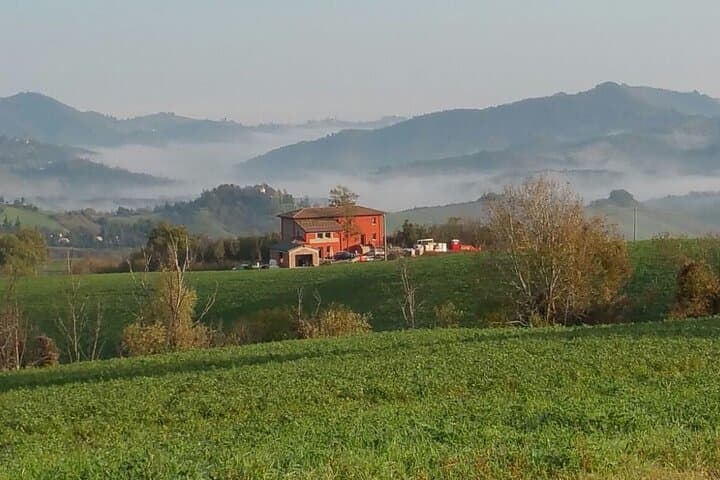 Esperienza Gastronomica con Mortadella a Monte San Pietro — foto 4